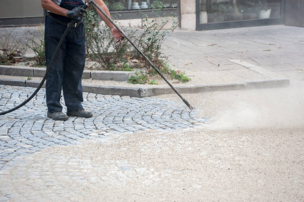 Best Animal Enclosure Cleaning  in Helena West Helena, AR